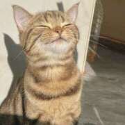 ヒメ日記 2025/06/03 05:39 投稿 西本 MadameRest(マダムレスト)