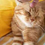 ヒメ日記 2025/06/03 19:43 投稿 西本 MadameRest(マダムレスト)