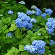 ヒメ日記 2025/06/04 10:44 投稿 西本 MadameRest(マダムレスト)