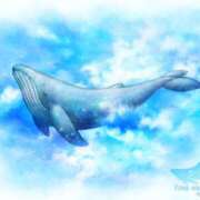 ヒメ日記 2025/06/05 06:22 投稿 西本 MadameRest(マダムレスト)