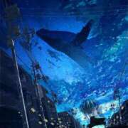 ヒメ日記 2025/06/06 20:22 投稿 西本 MadameRest(マダムレスト)