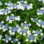 ヒメ日記 2025/06/07 06:16 投稿 西本 MadameRest(マダムレスト)