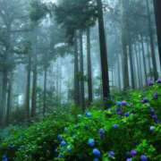 ヒメ日記 2025/06/08 05:36 投稿 西本 MadameRest(マダムレスト)