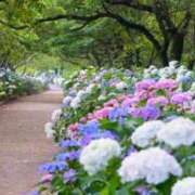 ヒメ日記 2025/06/11 06:49 投稿 西本 MadameRest(マダムレスト)