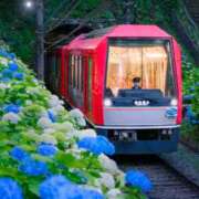 ヒメ日記 2025/06/12 07:03 投稿 西本 MadameRest(マダムレスト)