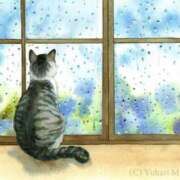 ヒメ日記 2025/06/15 06:33 投稿 西本 MadameRest(マダムレスト)