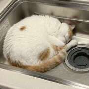 ヒメ日記 2025/06/18 04:27 投稿 西本 MadameRest(マダムレスト)