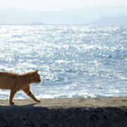 ヒメ日記 2025/06/20 06:50 投稿 西本 MadameRest(マダムレスト)