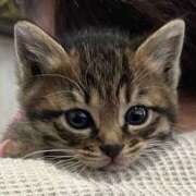 ヒメ日記 2025/06/20 15:42 投稿 西本 MadameRest(マダムレスト)