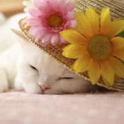 ヒメ日記 2025/06/21 05:03 投稿 西本 MadameRest(マダムレスト)