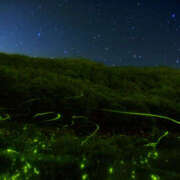 ヒメ日記 2025/06/22 21:58 投稿 西本 MadameRest(マダムレスト)