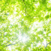 ヒメ日記 2025/06/23 08:55 投稿 西本 MadameRest(マダムレスト)