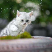 ヒメ日記 2025/06/24 08:55 投稿 西本 MadameRest(マダムレスト)