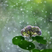 ヒメ日記 2025/06/25 04:46 投稿 西本 MadameRest(マダムレスト)