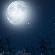 ヒメ日記 2025/07/03 21:29 投稿 西本 MadameRest(マダムレスト)