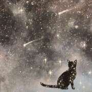 ヒメ日記 2025/07/04 23:26 投稿 西本 MadameRest(マダムレスト)