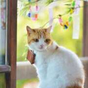 ヒメ日記 2025/07/07 12:48 投稿 西本 MadameRest(マダムレスト)