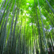 ヒメ日記 2025/07/09 07:02 投稿 西本 MadameRest(マダムレスト)