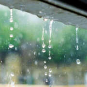 ヒメ日記 2025/07/10 14:33 投稿 西本 MadameRest(マダムレスト)