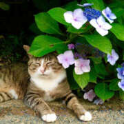 ヒメ日記 2025/07/11 08:55 投稿 西本 MadameRest(マダムレスト)