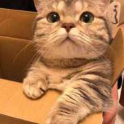 ヒメ日記 2025/07/12 08:52 投稿 西本 MadameRest(マダムレスト)