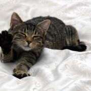 ヒメ日記 2025/07/13 08:10 投稿 西本 MadameRest(マダムレスト)