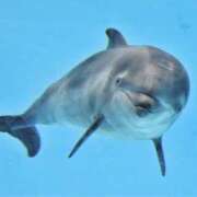 ヒメ日記 2025/07/15 06:06 投稿 西本 MadameRest(マダムレスト)