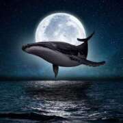 ヒメ日記 2025/07/18 22:34 投稿 西本 MadameRest(マダムレスト)