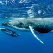 ヒメ日記 2025/07/19 08:57 投稿 西本 MadameRest(マダムレスト)