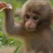 ヒメ日記 2025/07/21 05:39 投稿 西本 MadameRest(マダムレスト)