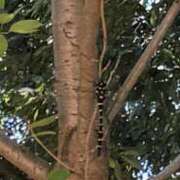 ヒメ日記 2025/07/21 21:28 投稿 西本 MadameRest(マダムレスト)