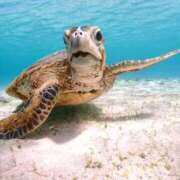 ヒメ日記 2025/07/22 05:50 投稿 西本 MadameRest(マダムレスト)