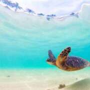 ヒメ日記 2025/07/23 06:11 投稿 西本 MadameRest(マダムレスト)