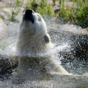 ヒメ日記 2025/07/25 06:32 投稿 西本 MadameRest(マダムレスト)