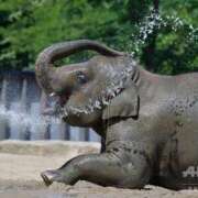 ヒメ日記 2025/07/26 06:15 投稿 西本 MadameRest(マダムレスト)