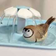 ヒメ日記 2025/07/26 08:54 投稿 西本 MadameRest(マダムレスト)