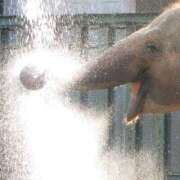 ヒメ日記 2025/07/27 06:47 投稿 西本 MadameRest(マダムレスト)