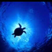 ヒメ日記 2025/07/28 07:49 投稿 西本 MadameRest(マダムレスト)