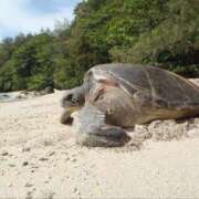 ヒメ日記 2025/07/29 17:22 投稿 西本 MadameRest(マダムレスト)