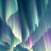 ヒメ日記 2025/08/02 22:10 投稿 西本 MadameRest(マダムレスト)