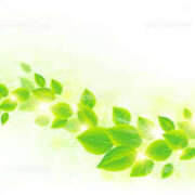 ヒメ日記 2025/08/06 06:04 投稿 西本 MadameRest(マダムレスト)