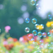 ヒメ日記 2025/08/09 08:55 投稿 西本 MadameRest(マダムレスト)