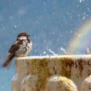 ヒメ日記 2025/08/10 06:40 投稿 西本 MadameRest(マダムレスト)