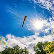 ヒメ日記 2025/08/21 06:24 投稿 西本 MadameRest(マダムレスト)