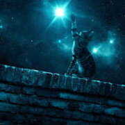 ヒメ日記 2025/08/21 20:41 投稿 西本 MadameRest(マダムレスト)