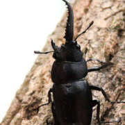 ヒメ日記 2025/08/24 14:53 投稿 西本 MadameRest(マダムレスト)