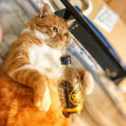 ヒメ日記 2025/08/24 21:24 投稿 西本 MadameRest(マダムレスト)