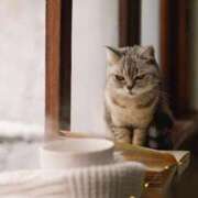 ヒメ日記 2025/08/28 06:05 投稿 西本 MadameRest(マダムレスト)