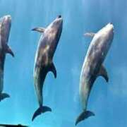 ヒメ日記 2025/08/29 09:01 投稿 西本 MadameRest(マダムレスト)