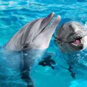 ヒメ日記 2025/08/30 08:51 投稿 西本 MadameRest(マダムレスト)